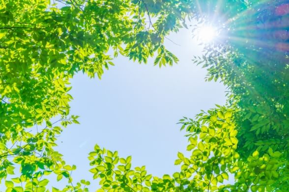 品質・環境方針はこちら